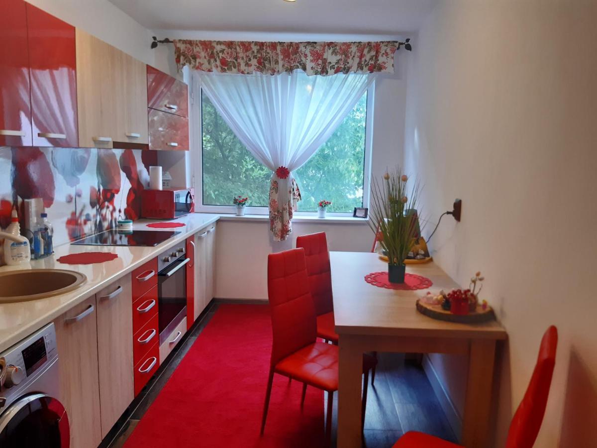 OrşovaApartament R&A公寓 外观 照片
